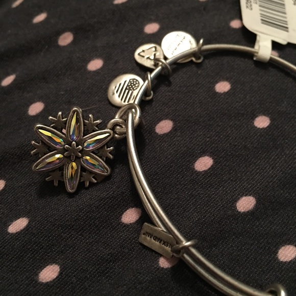 ❄️ NWT Alex and Ani bracelet ❄️ - Picture 3 of 4